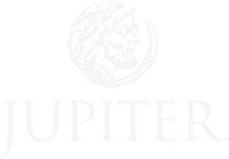 jup logo gray